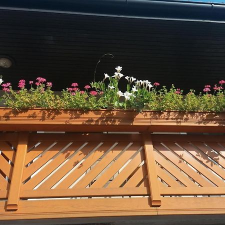 Apartmaji Valter Srpenica 外观 照片